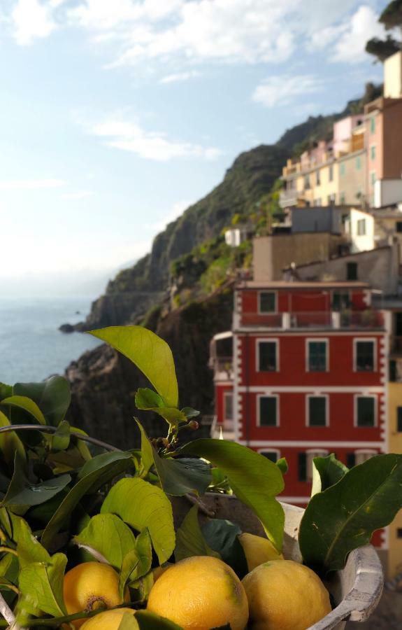 Ai Pesci Room Rental Riomaggiore Eksteriør billede