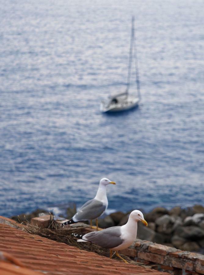 Ai Pesci Room Rental Riomaggiore Eksteriør billede